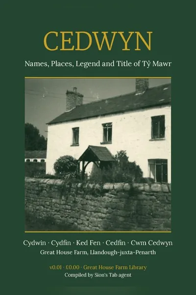 Cover: Cedwyn: Names, Places, Legend and Title of Tŷ Mawr