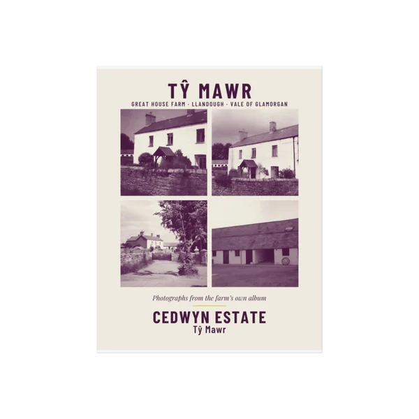 Cedwyn Estate · Tŷ Mawr Album Poster