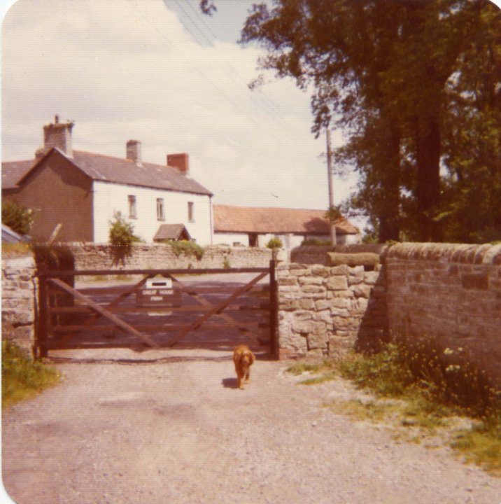 Great House Farm, the gate